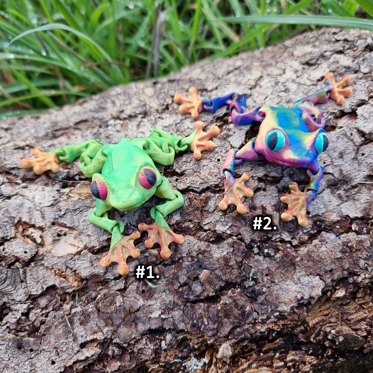 Frogs - Articulated Fidget Nature Toy